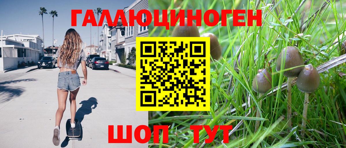 Псилоцибиновые грибы ЛСД  хочу   Калуга  Вход с VPN  Псилоцибиновые грибы Magic Shrooms 